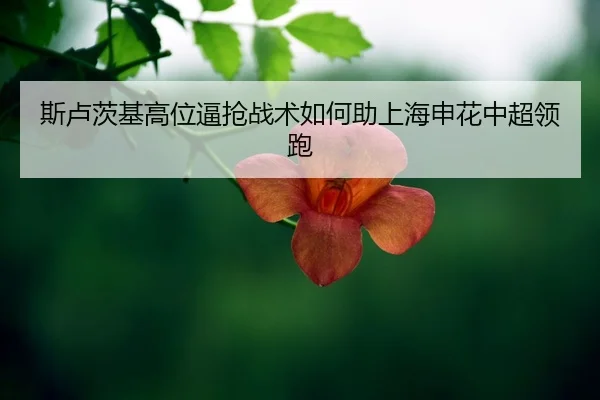 si-lu-ci-ji-gao-wei-bi-qiang-zhan-shu-ru-he-zhu-shang-hai-shen-hua-zhong-chao-ling-pao-2-718.jpg