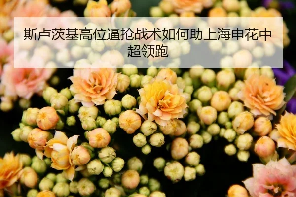 斯卢茨基高位逼抢战术如何助上海申花中超领跑