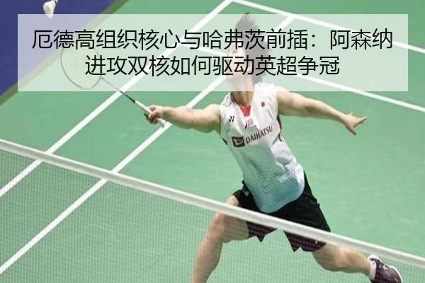 e-de-gao-zu-zhi-he-xin-yu-ha-fu-ci-qian-cha-a-sen-na-jin-gong-shuang-he-ru-he-qu-dong-ying-chao-zheng-guan-3-249.jpg